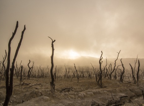 Έχουμε 12 χρόνια για να σώσουμε τον κόσμο κι εμείς σφυράμε αδιάφορα. Τι δεν καταλαβαίνουμε;