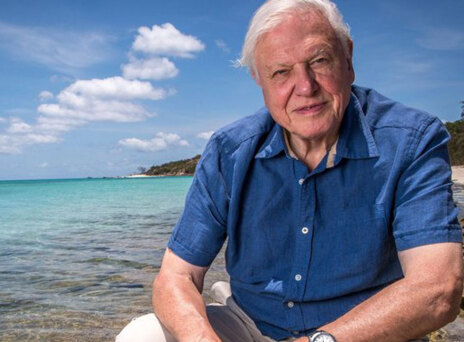   Ντέιβιντ Ατένμπορο: Η κλιματική αλλαγή είναι η «μεγαλύτερη μας απειλή» (video)