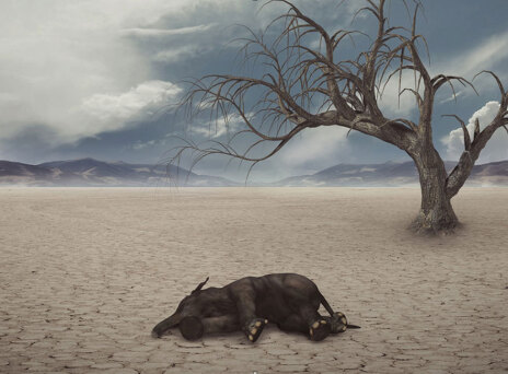 Ξηρασία / © Pixabay