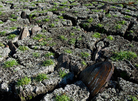 Ακαδημία Αθηνών: Απειλή για την υγεία η κλιματική αλλαγή