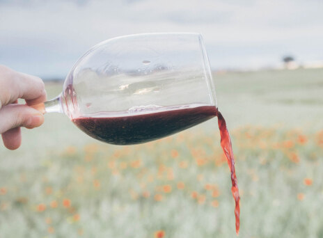 Όλα όσα ήθελες πάντα να μάθεις για το κρασί