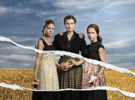 Άγριες μέλισσες, Antenna