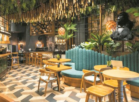 Iguazu: Η τροπική ζούγκλα που αγαπούν οι Αθηναίοι 