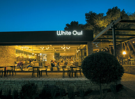 White Owl Cafe: Μια καταπράσινη όαση στην πόλη