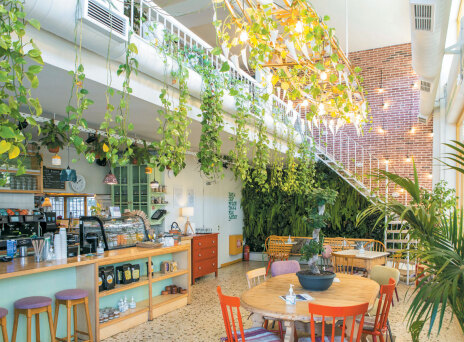 Mimosa Neighborhood Bistrot, υγιεινό brunch στη Νέα Φιλαδέλφεια