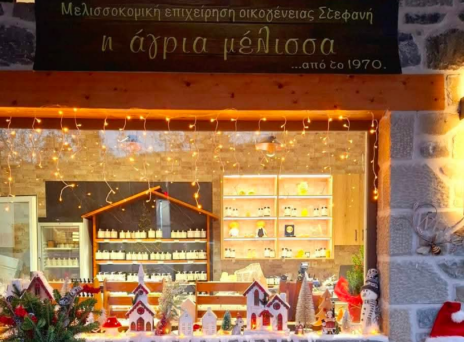 Άγρια μέλλισα