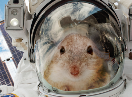 «Αστροποντικοί» στον ISS για να μελετηθεί η επιβίωση του ανθρώπου στον Άρη