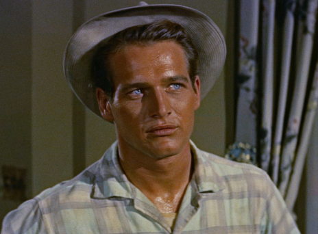 Πολ Νιούμαν, «The long hot summer» 1958