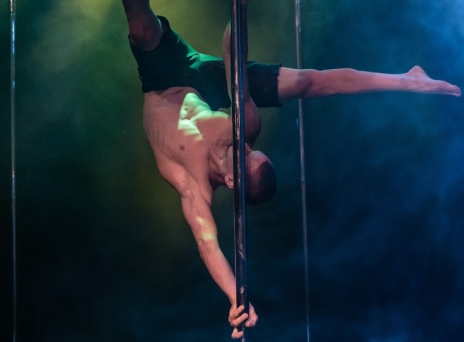 Pole dancer 