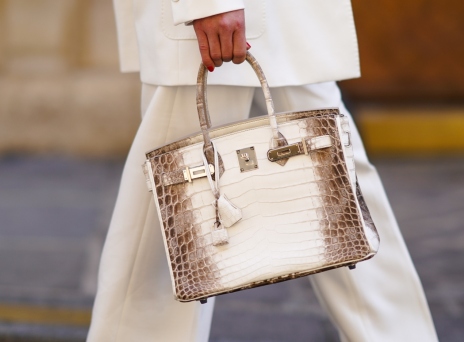 Hermes Himalayan Birkin