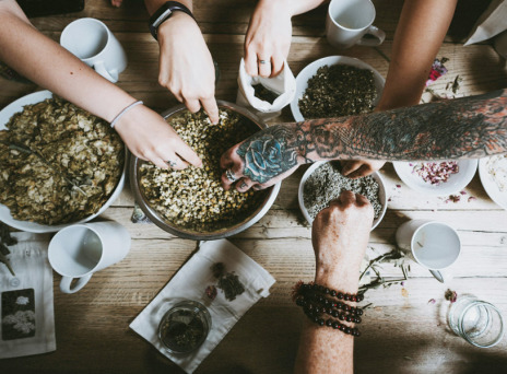 12 Βότανα & Φυτά που θεραπεύουν σώμα & πνεύμα