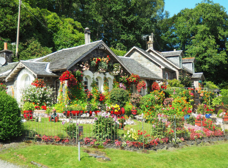 6 τάσεις κήπου 2024