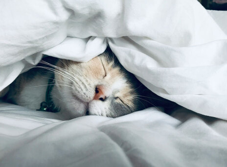 Τα πολλά μυστικά και οφέλη του ύπνου που αγνοούμε