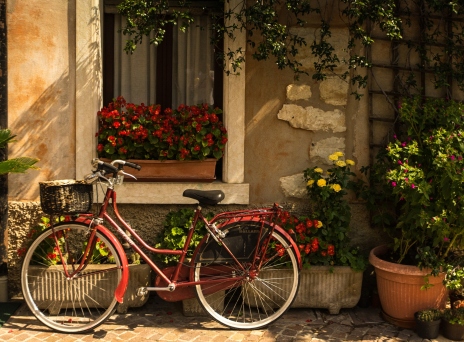 Γειτονιά ποδήλατο γλάστρες