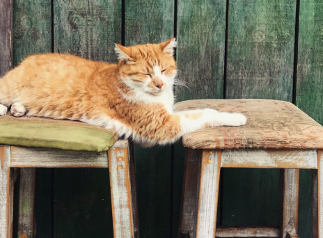 Είσαι 50+; Διάλεξε τη σωστή καρέκλα