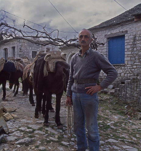 Ταξίδι στους Καλαρρύτες: Μια πρωτότυπη εικονική περιήγηση στο μονοπάτι που συνδέει το χωριό της Ηπείρου με το Συρράκο 