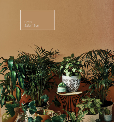 Safari Sun: Χρώμα της Χρονιάς από την Vitex για το 2024