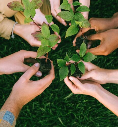 Πως η μάθηση μπορεί να μας βγάλει από την περιβαλλοντική κρίση