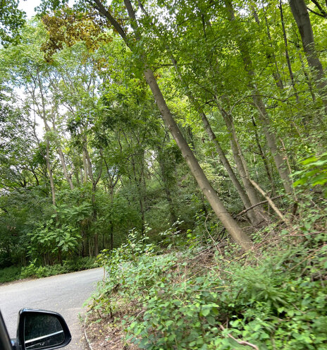 Ανεβαίνοντας μέσα από το ήσυχο δάσος του Grunewald, δύσκολα φαντάζεσαι ότι κάτω από τα δέντρα του Teufelsberg κρύβονται τα ερείπια ολόκληρου του Βερολίνου