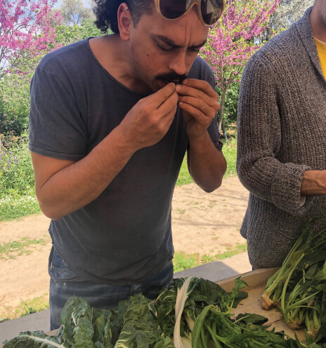 Χρόνης Δαμαλάς - Σεφ