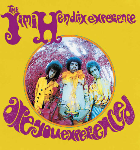 are-you-experienced.jpg