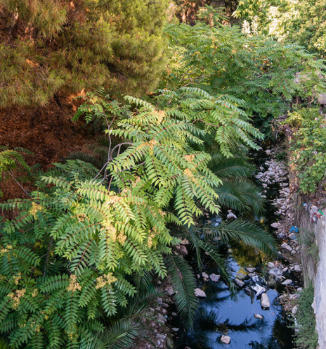 Νέα Φιλαδέλφεια