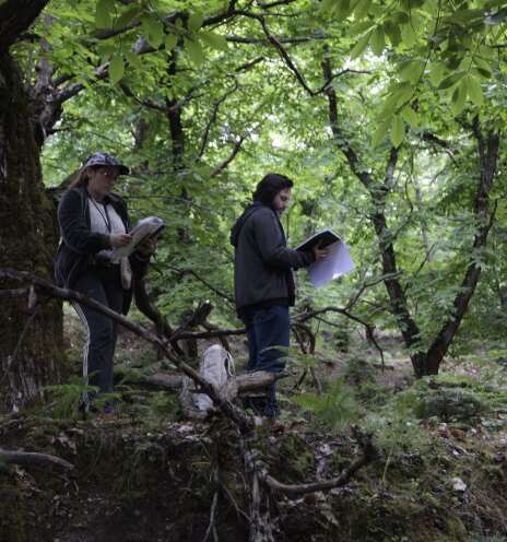Στιγμιότυπο από τα γυρίσματα της ταινίας «Άλυτη» του Μίνωα Νικολακάκη 