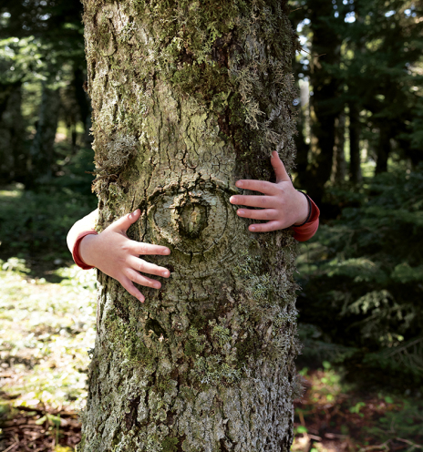 «Vodafone Smart Forest», το πρώτο ελληνικό έξυπνο δάσος στην Πάρνηθα
