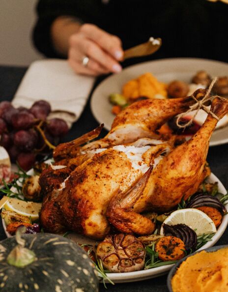 Γαλοπούλα: όλα όσα πρέπει να ξέρεις για να μαγειρέψεις το πουλί της γιορτής