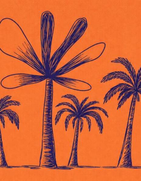 Gaël Faye, «Τζακαράντα», εκδόσεις Πατάκη