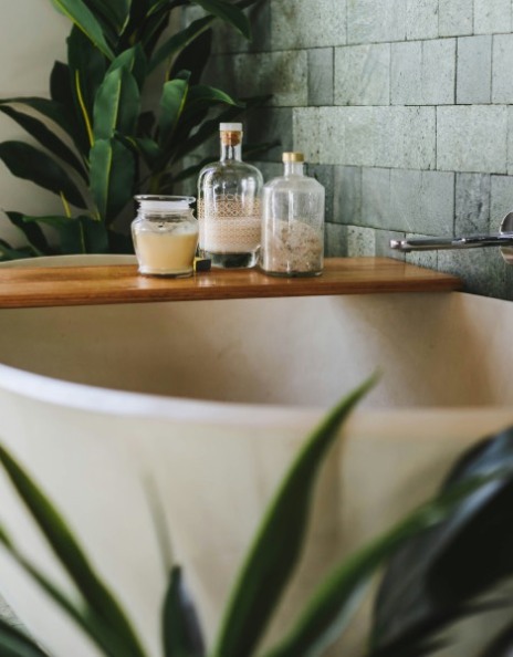 Διακόσμηση μπάνιου: Ποια φυτά αντέχουν στην υγρασία και πώς αλλάζουν την ατμόσφαιρα;