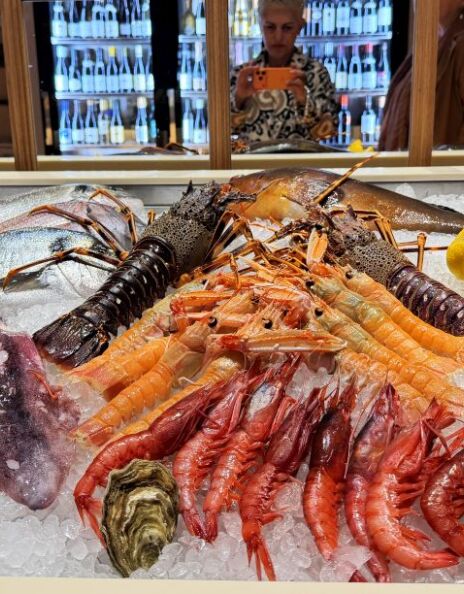 Casa Fish 