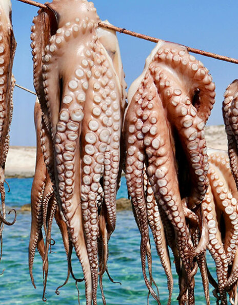 Aegean Cuisin - Κυκλάδες πέρα από την καρτ ποστάλ: η αυθεντική γεύση των νησιών