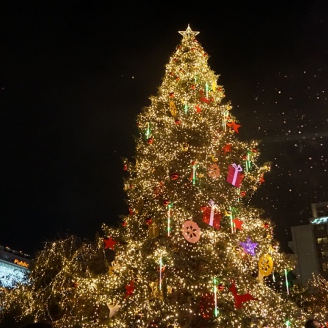 Γιορτινή Αθήνα: Φωταγωγήθηκε το εντυπωσιακό χριστουγεννιάτικο δέντρο στο Σύνταγμα (εικόνες)