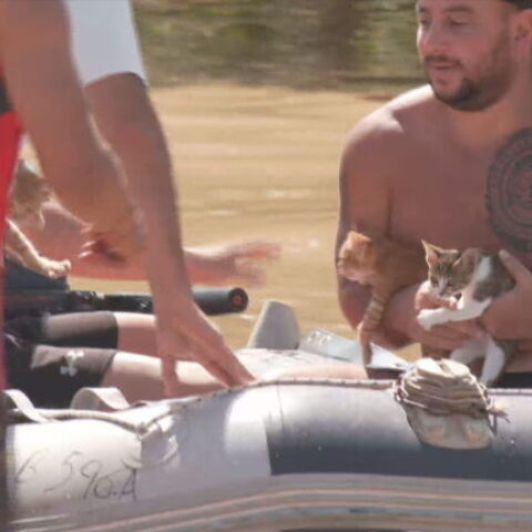 Οι ήρωες της διπλανής πόρτας έσωσαν γατάκια στη Γιάννουλη