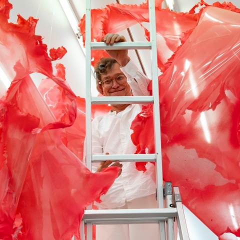 Donopoulos International Fine Arts, Έργο του Aljoscha