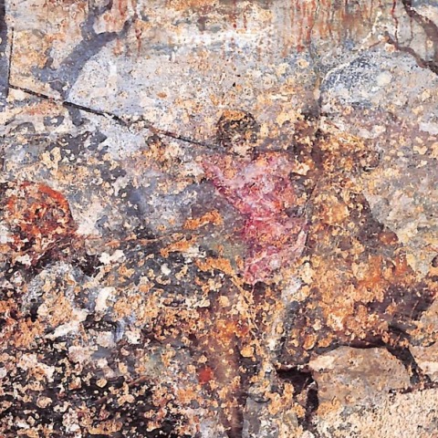 Λεπτομέρεια από το εξώφυλλο του βιβλίου «Βεργίνα. Ο Τάφος του Φιλίππου - Η Τοιχρογραφία με το Κυνήγι» της Χρυσούλας Σαατσόγλου-Παλιαδέλη