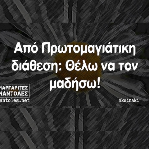 Αστεία memes, ατάκες, YOLO βίντεο, viral, αστεία video στο TikTok που ανέβηκαν στο διαδίκτυο και μας έκαναν να γελάσουμε.