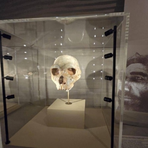 Στη Σπηλιά: Ιστορίες από το σκοτάδι στο φως στο Αρχαιολογικό Μουσείο Θεσσαλονίκης