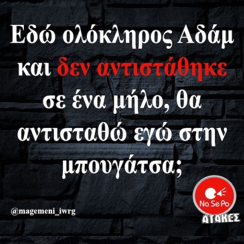 Αστεία memes, ατάκες, YOLO βίντεο, viral, αστεία video στο TikTok που ανέβηκαν στο διαδίκτυο και μας έκαναν να γελάσουμε.