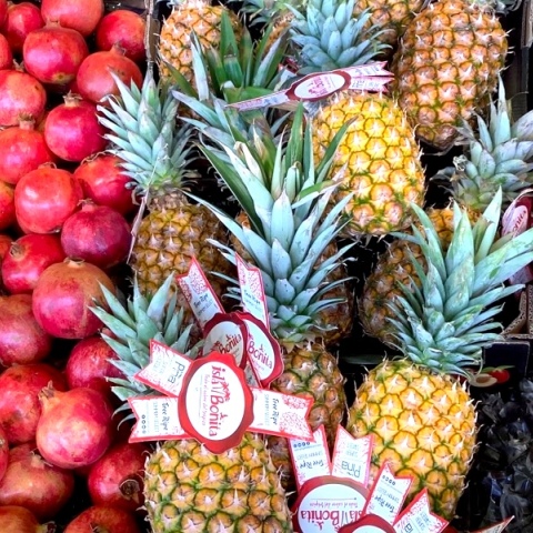 Ρεφανίδης Φρουτομαγεία