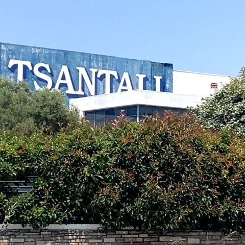 Τσάνταλης ΑΕ στον Άγιο Παύλο Χαλκιδική