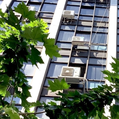 Οδός Φράγκων