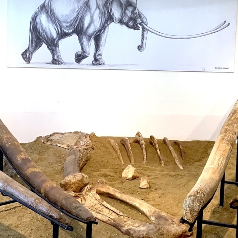 Μουσείο Φυσικής Ιστορίας Μηλιάς Γρεβενών