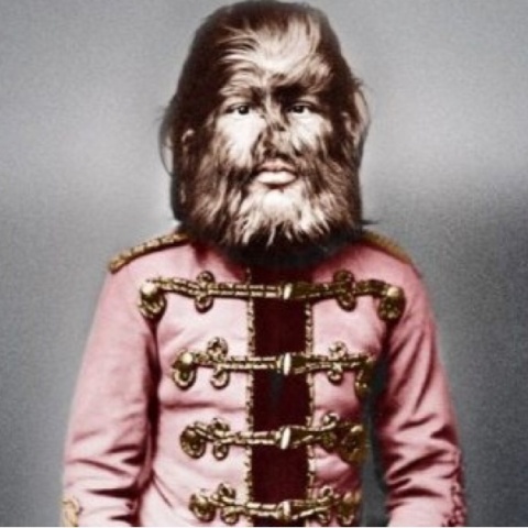 Jo Jo the Dog Face Boy