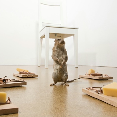 Η Σιωπηλή Παγίδα της Τεχνητής Νοημοσύνης:  Εξυπηρετώντας «δωρεάν» το κράτος