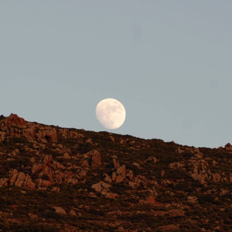 Αχιλλέας Αγγελόπουλος - Πάτμος