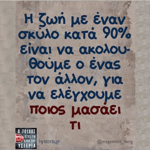 Αστεία memes, ατάκες, YOLO βίντεο, viral, αστεία video στο TikTok που ανέβηκαν στο διαδίκτυο και μας έκαναν να γελάσουμε.