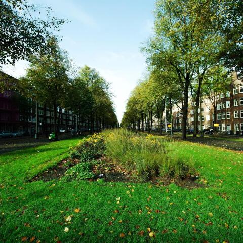 Οι πράσινες πόλεις, ο σχεδιασμός τους και η πρωτοπορία της βιώσιμης κινητικότητας 