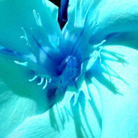 eortologio-7-iouliou